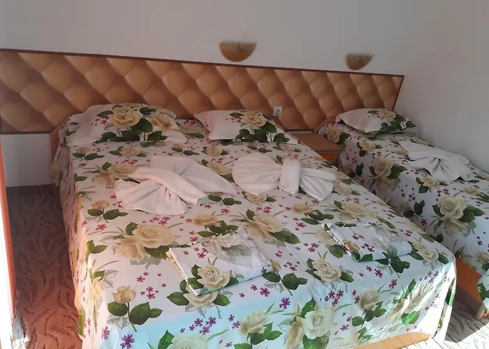 Sianie 게스트하우스